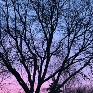 Meet your Posher, Rosalie